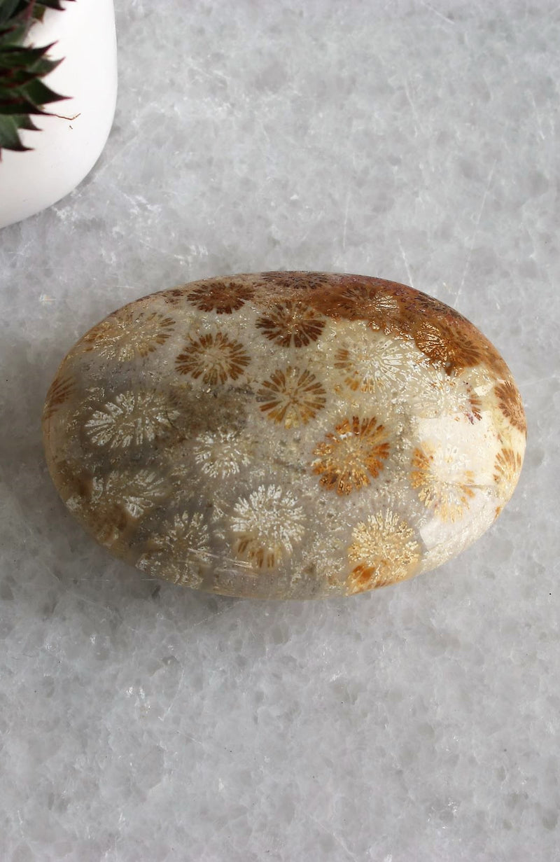 Coral Jasper Soap Stone