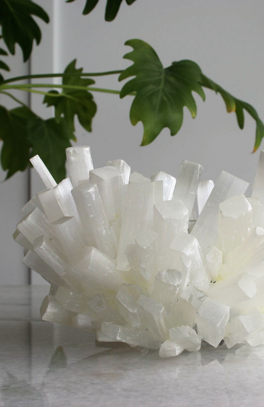 Selenite Bowl