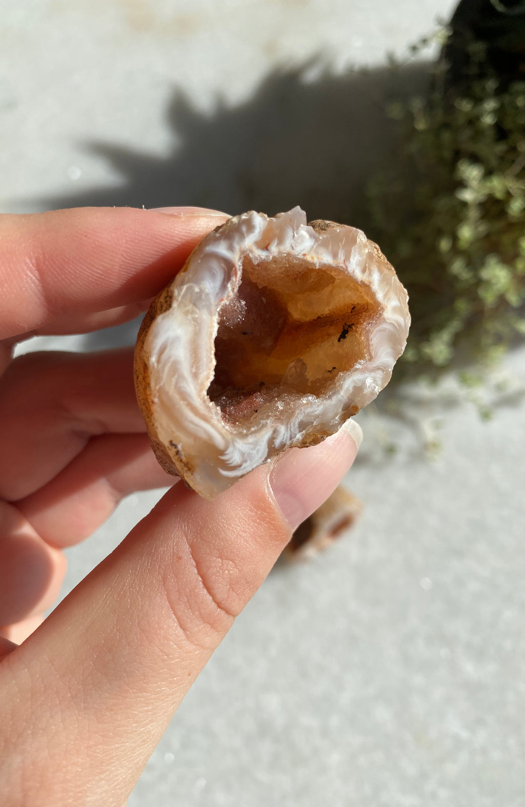 Agate Geode Pairs (aka Thunder Eggs) Natural