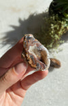 Agate Geode Pairs (aka Thunder Eggs) Natural