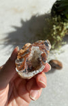 Agate Geode Pairs (aka Thunder Eggs) Natural