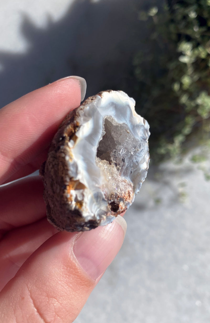 Agate Geode (aka Thunder Egg)  Natural