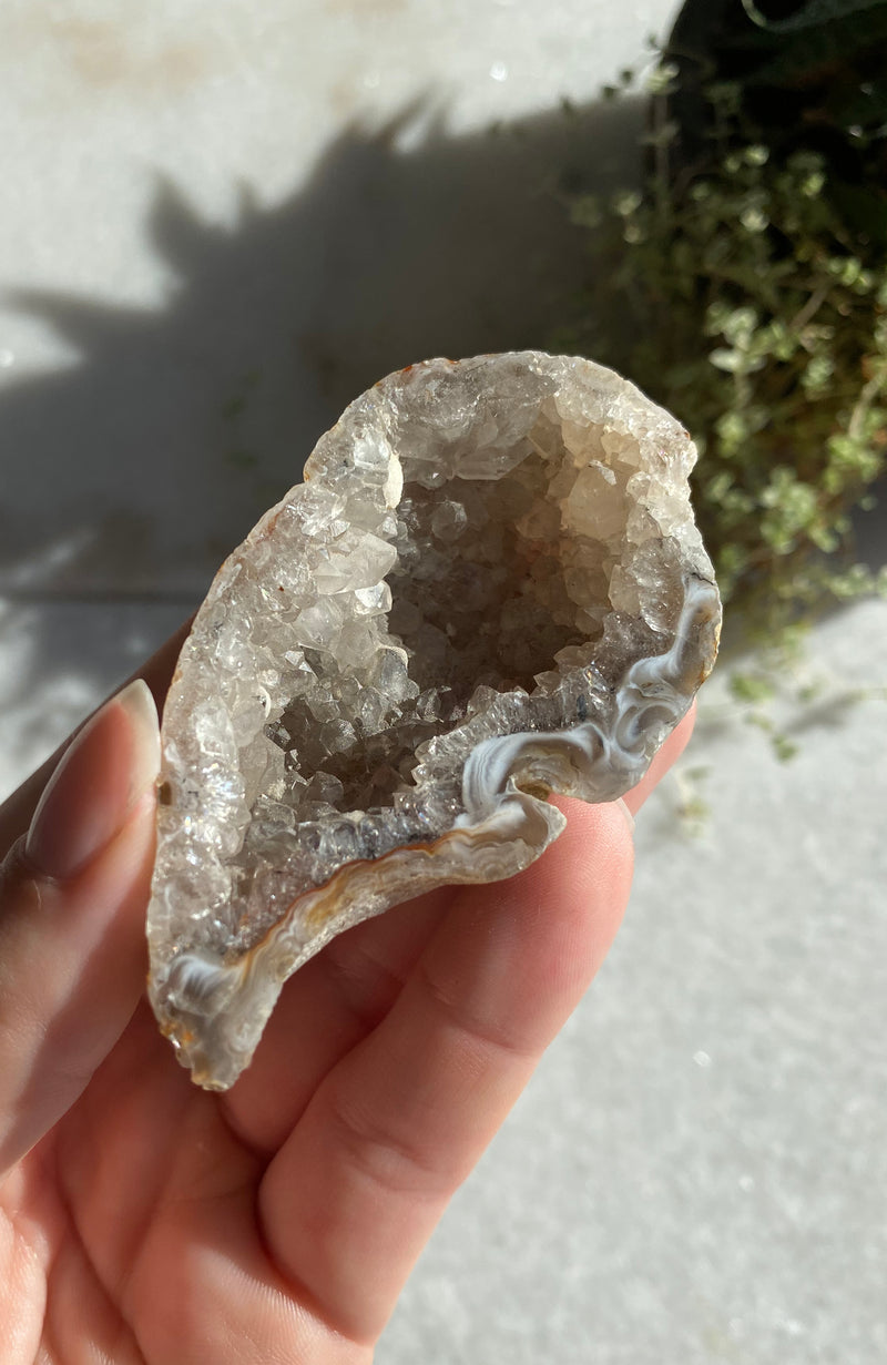 Agate Geode (aka Thunder Egg)  Natural