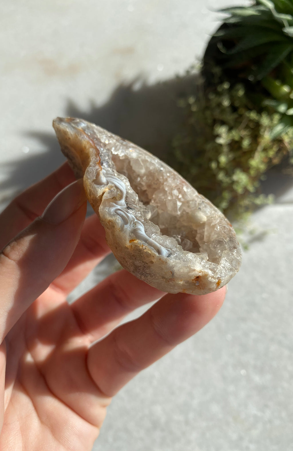 Agate Geode (aka Thunder Egg)  Natural