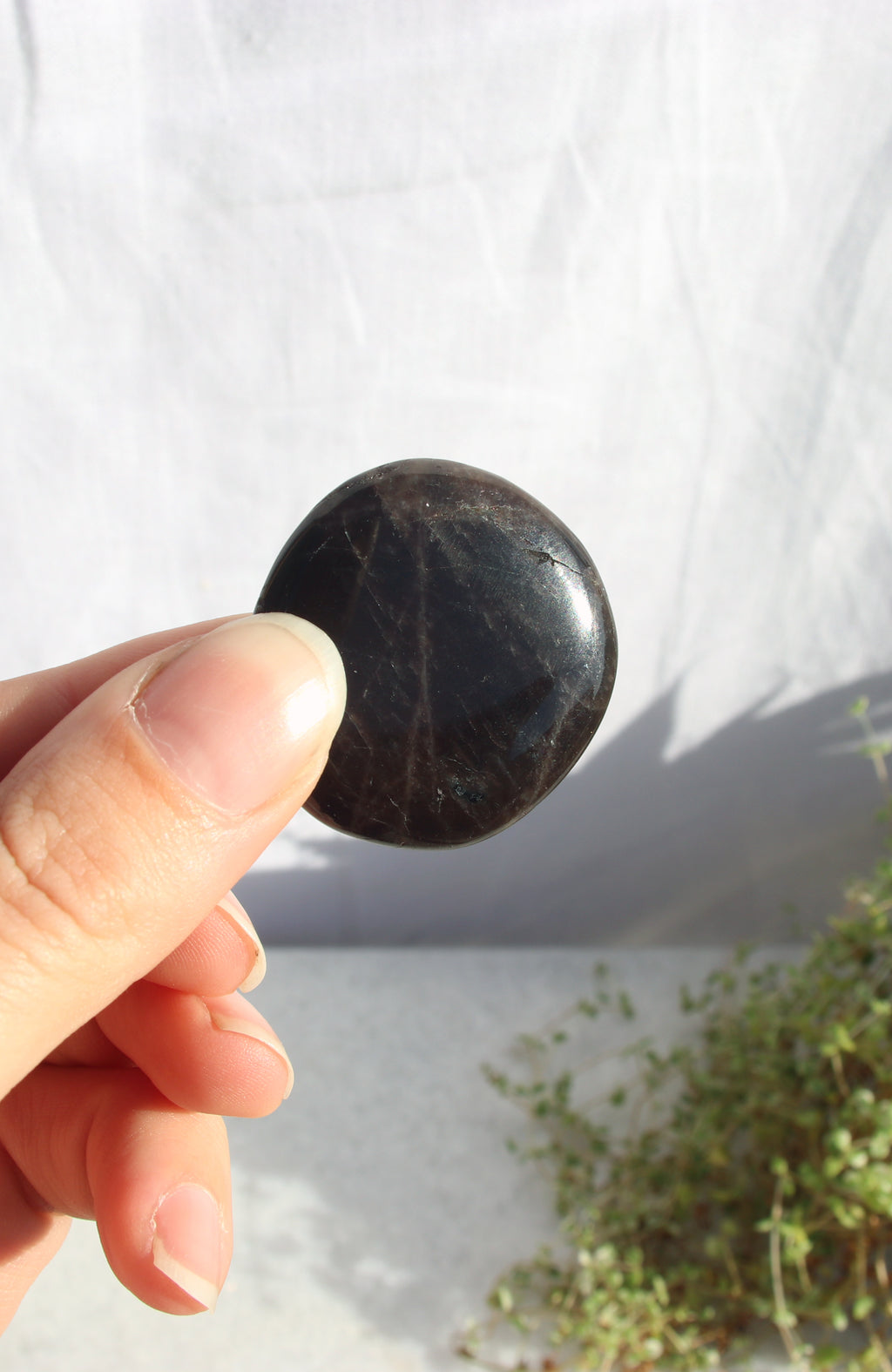 Anorthosite Palm Stone