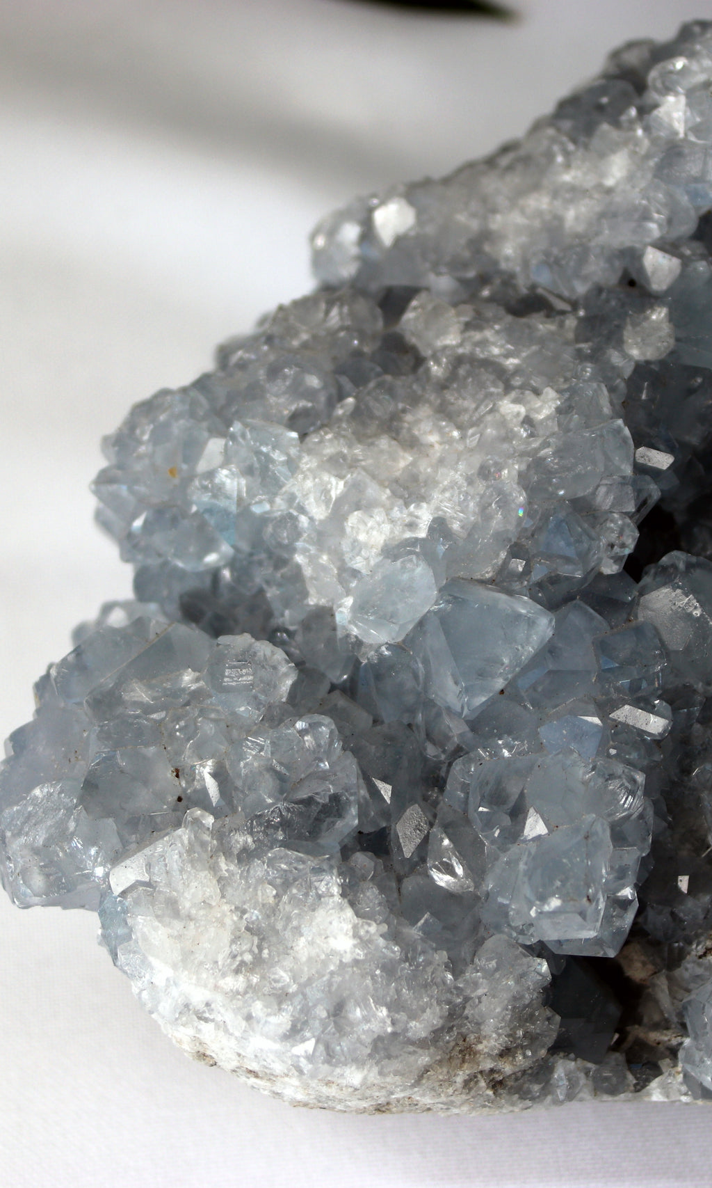 Celestite Geode