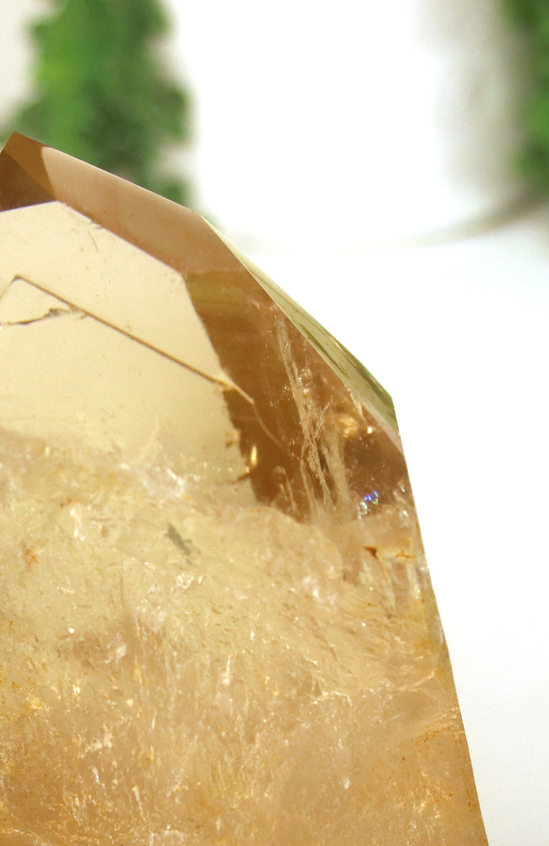 Citrine (Natural) Cathedral Point AAA