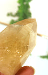 Citrine (Natural) Cathedral Point AAA