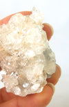 Apophyllite Cluster