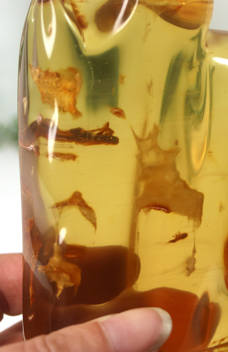 Amber Piece with insects