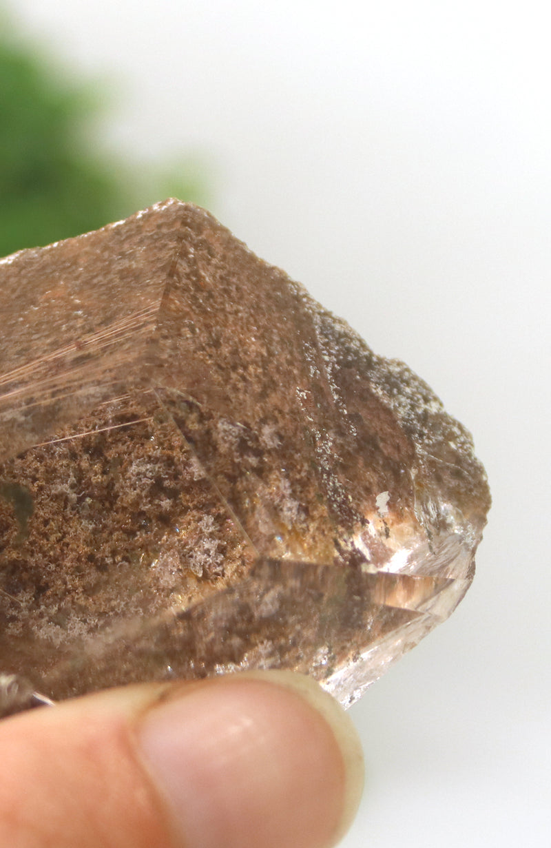 Lodalite Quartz Freeform Generator