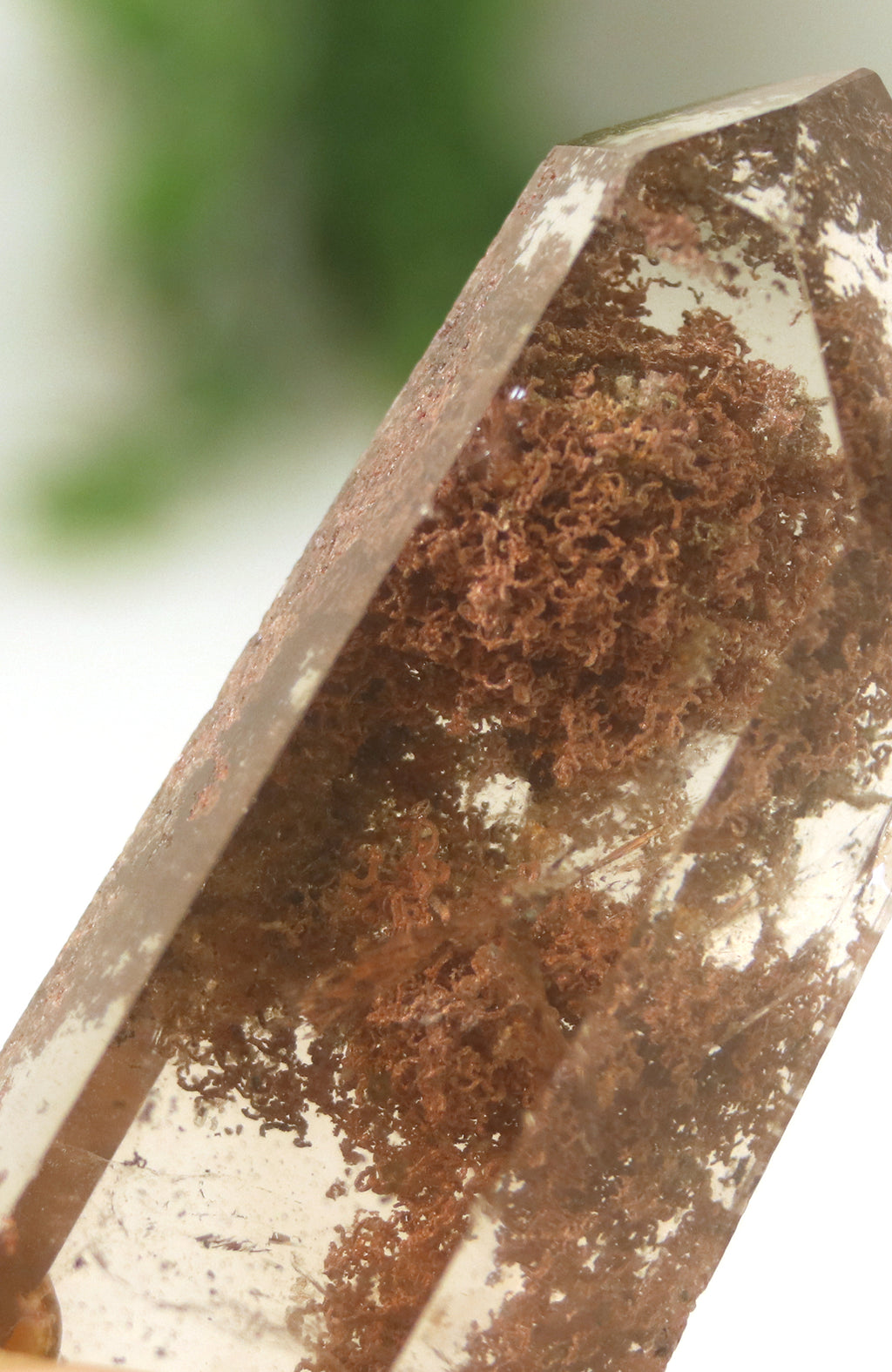Lodalite Quartz Freeform Generator