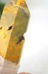 Bumble Bee Jasper Generator
