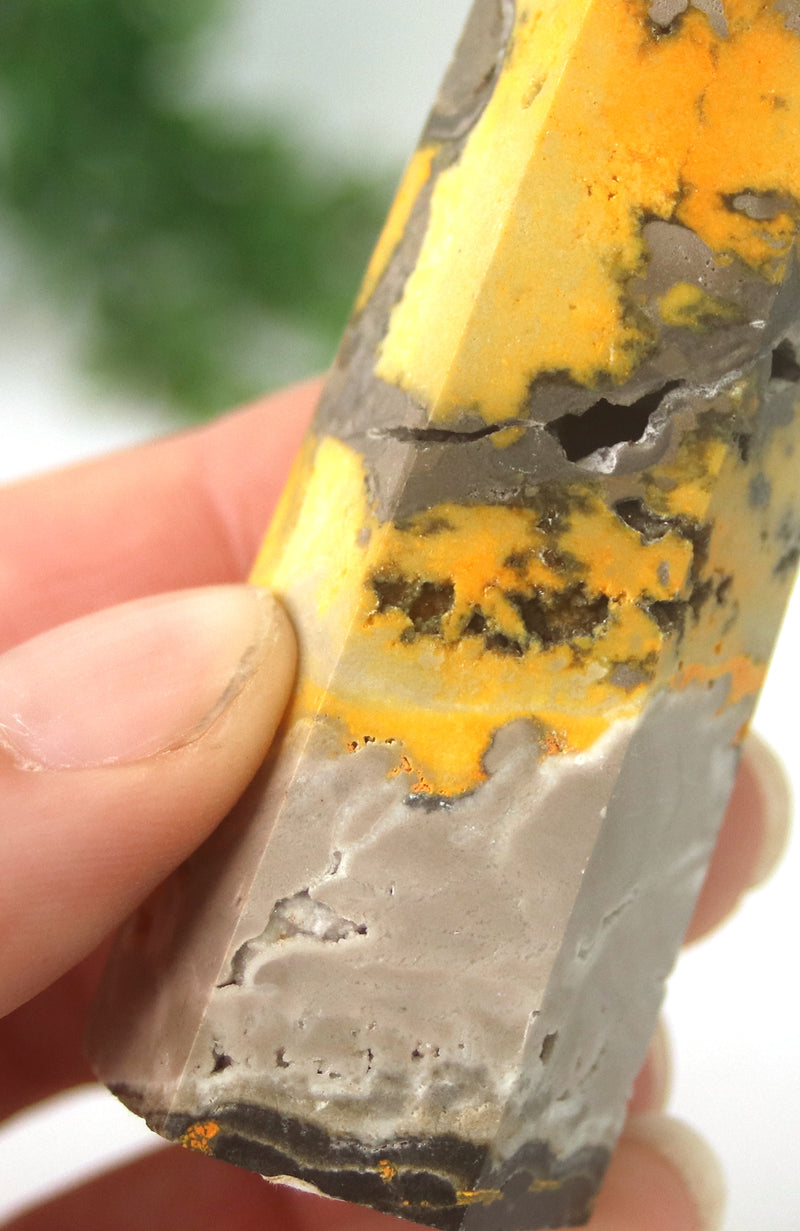 Bumble Bee Jasper Generator