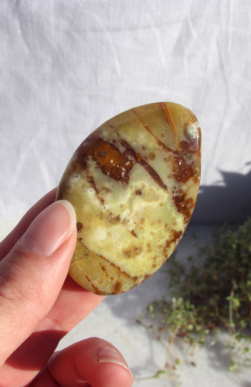 Kiwi Opal Palmstone