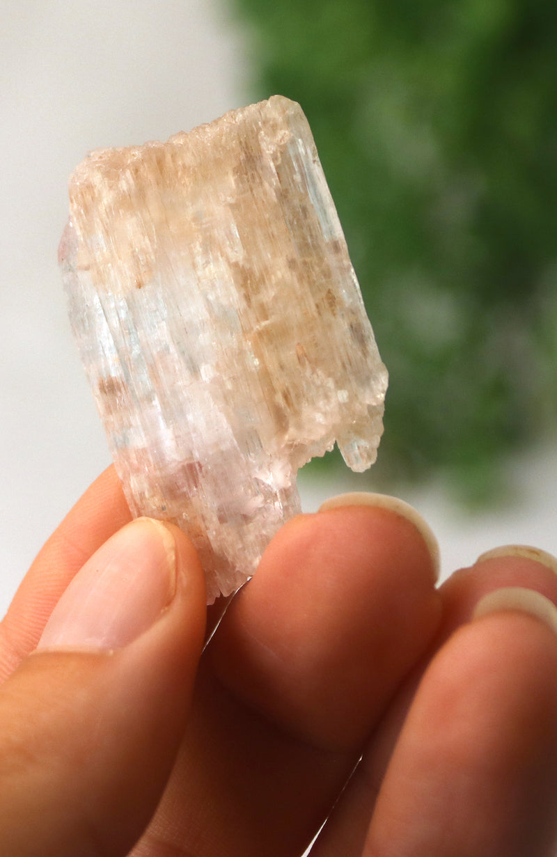 Kunzite Piece