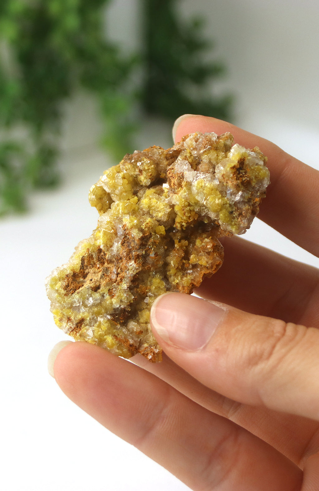 Mimetite Specimen