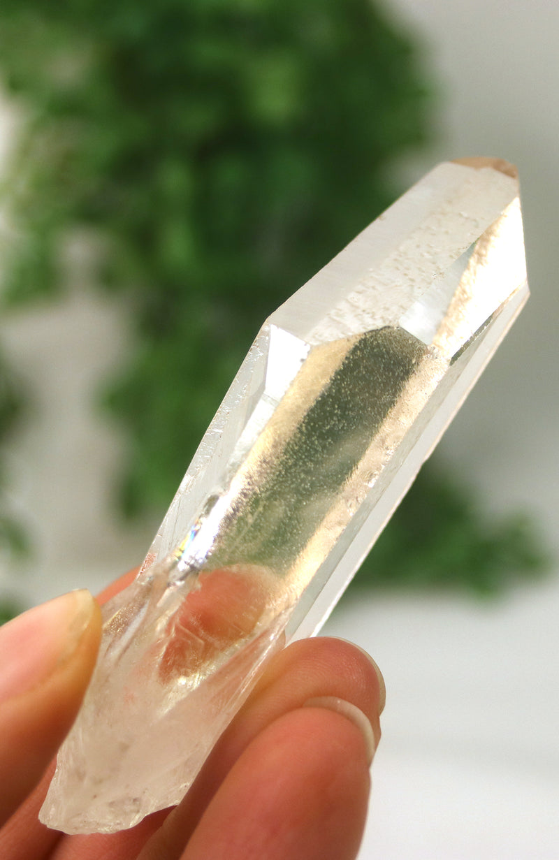 Starseed Columbian Quartz Points (AAA Grade)