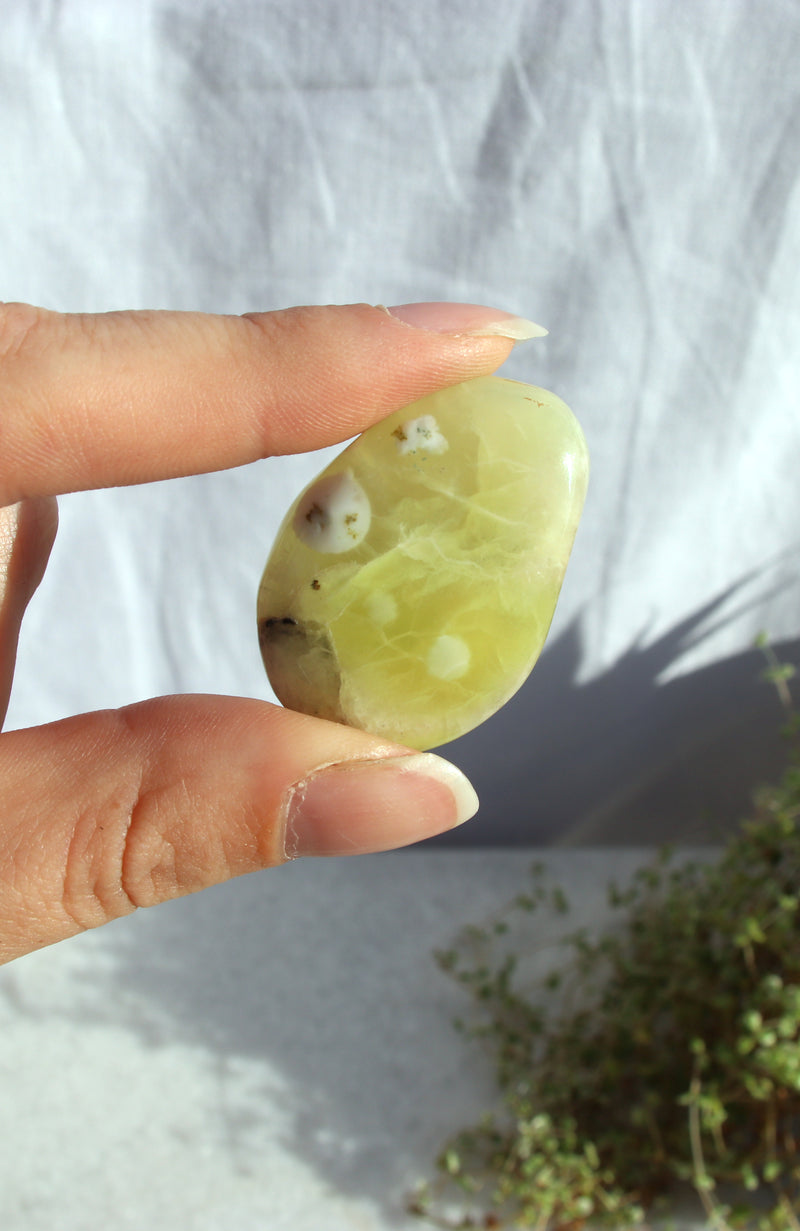 Prehnite Palm Stone