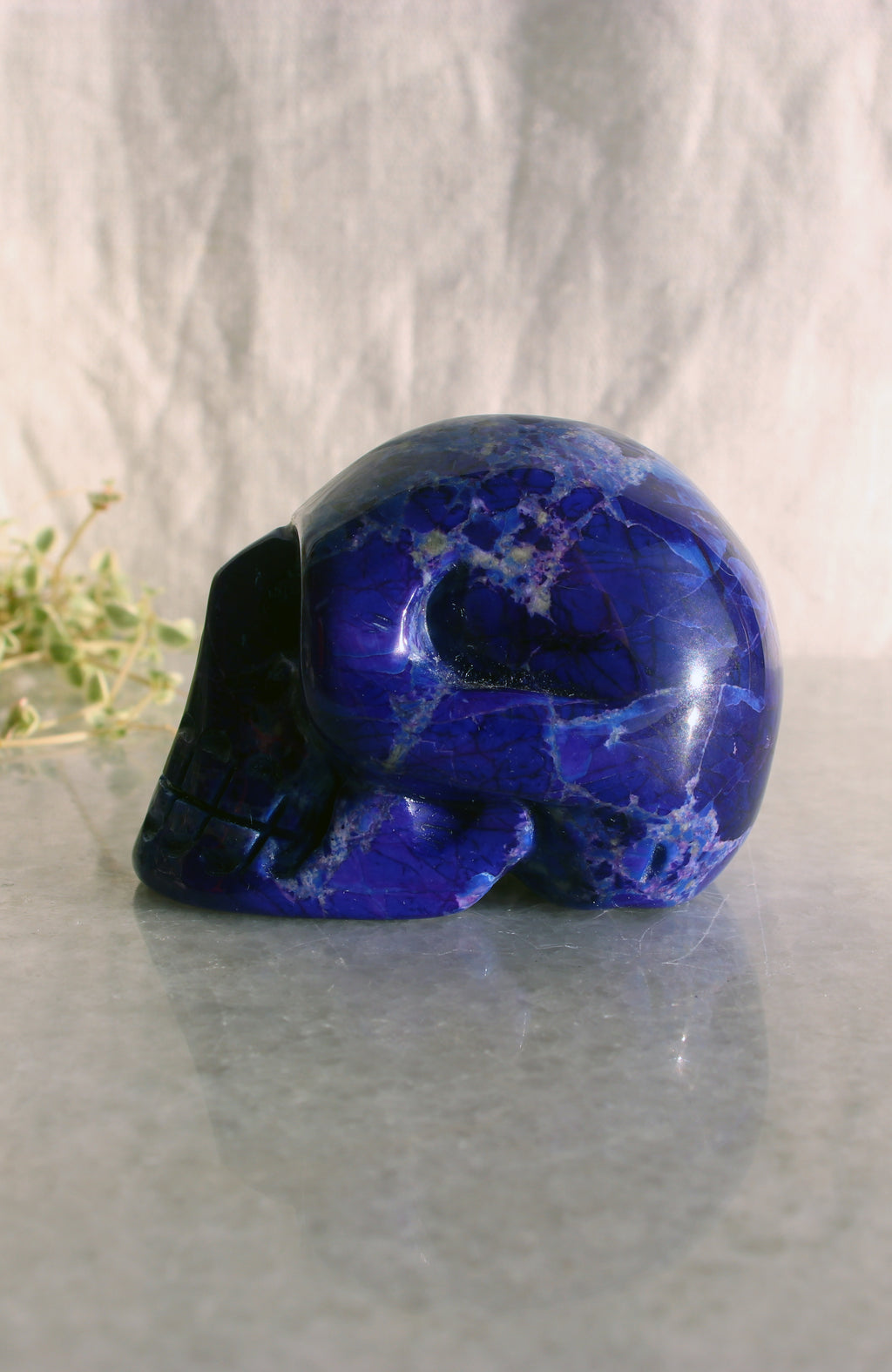 Purple Howlite** Skull
