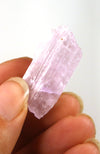 Kunzite Piece AAA