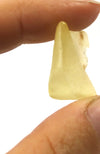 Libyan Gold Tektite