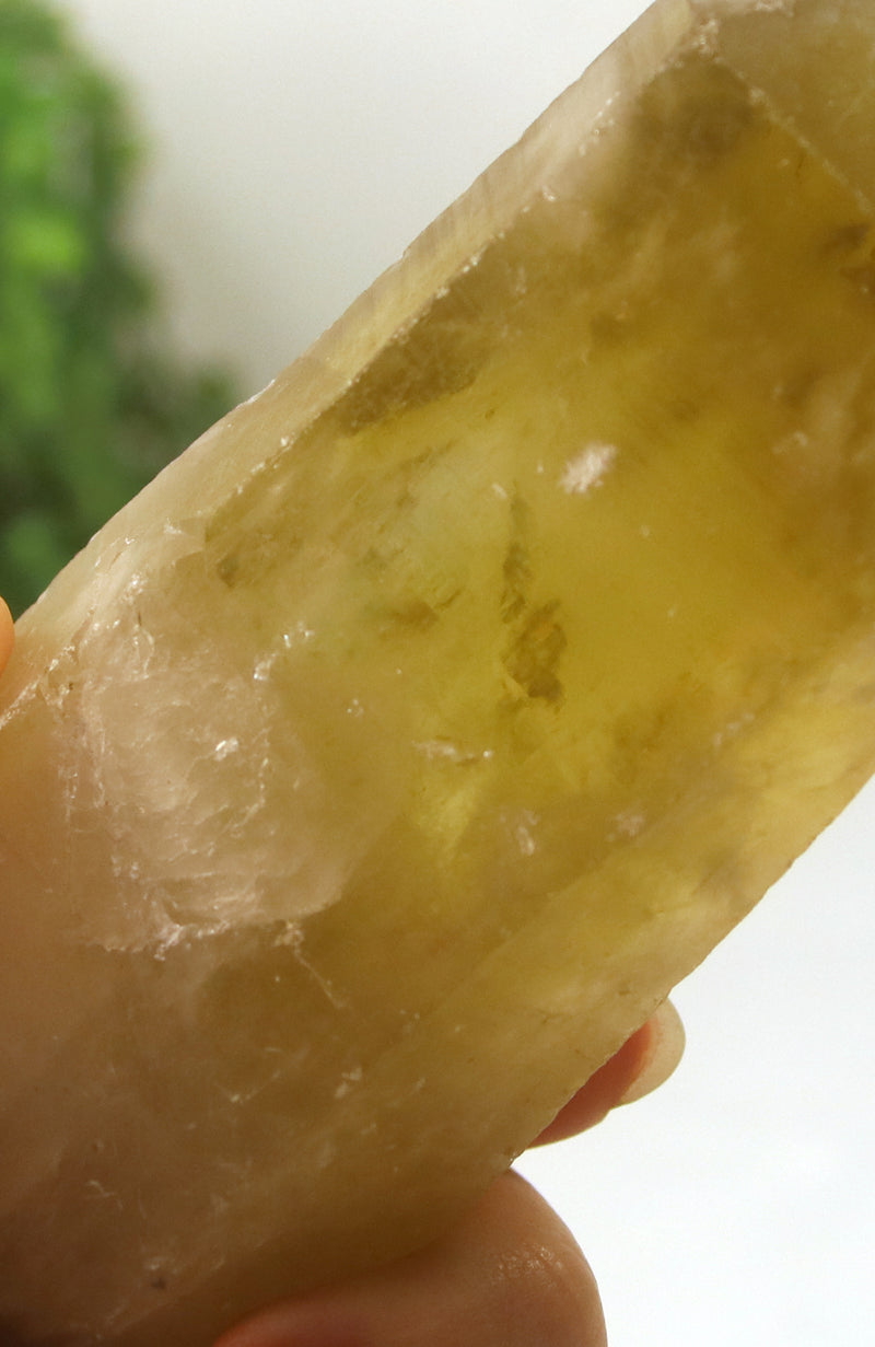 Smoky Citrine Lemurian Seed Crystal from Gobi Desert