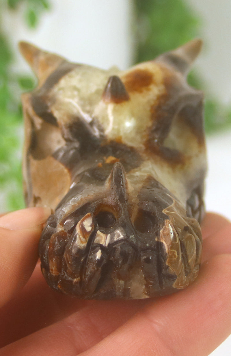 Septarian Stone  (aka Dragon Stone) Dragon Skull