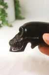 Black Obsidian ET Skull
