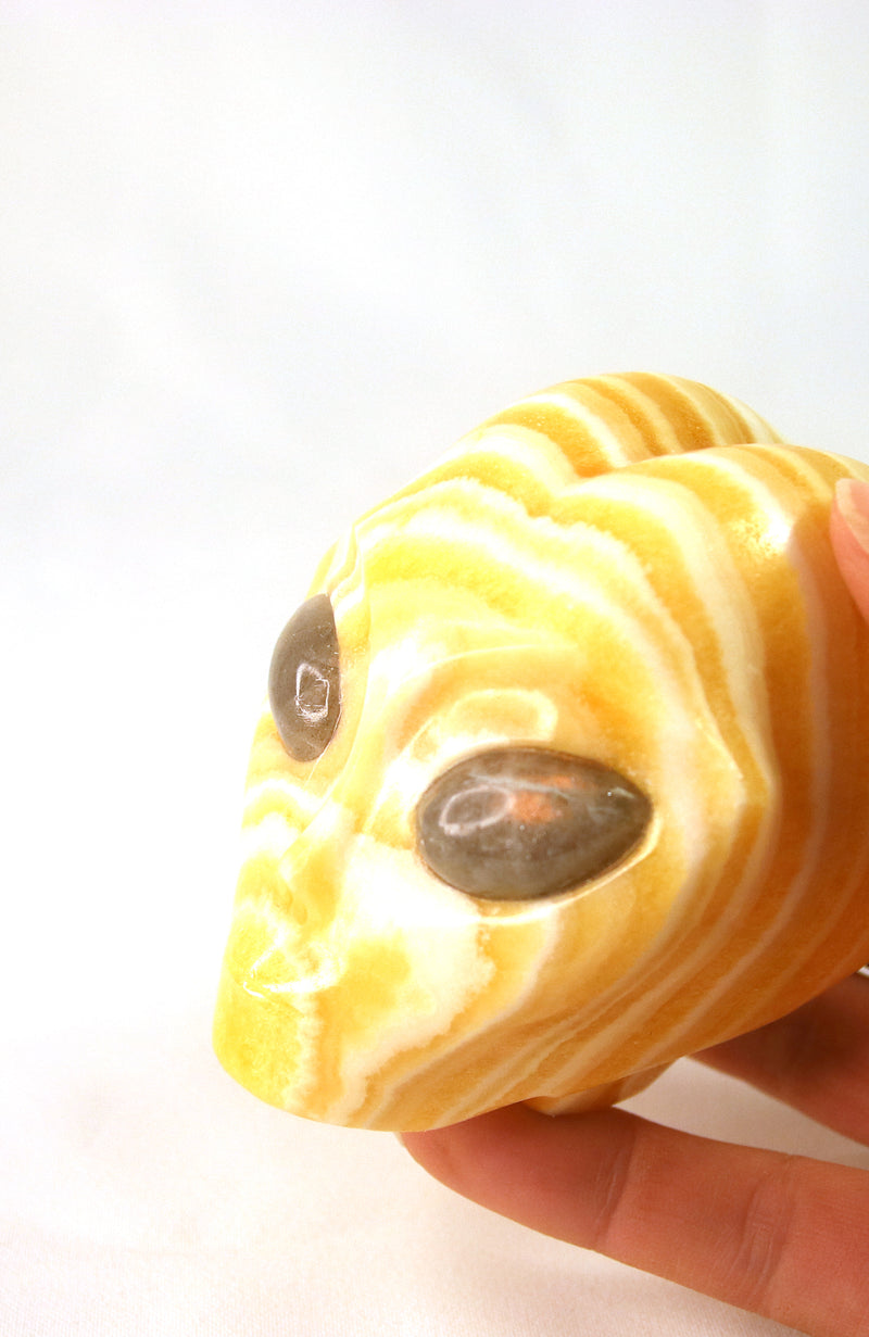 Orange Calcite ET with Labradorite Eyes Skull