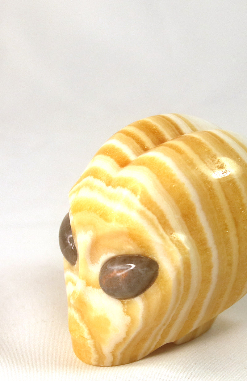 Orange Calcite ET with Labradorite Eyes Skull