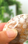 Coral Jasper Soap Stone